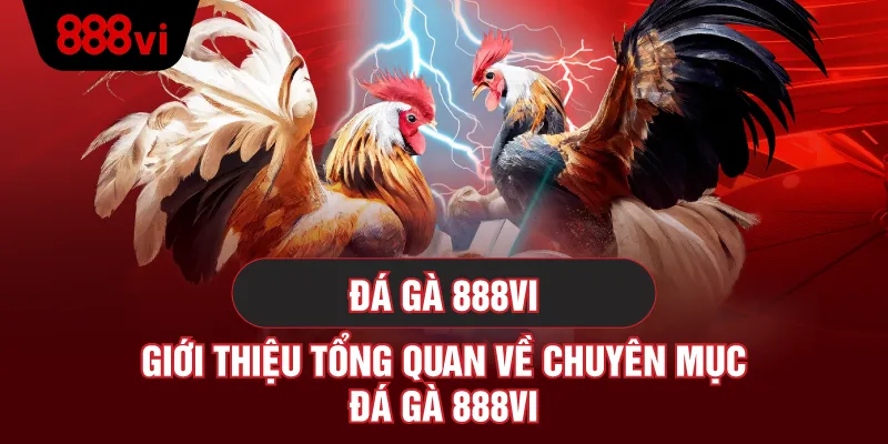 Đá Gà 888VI Trực Tiếp