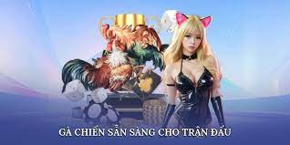Cách Tham Gia Đá Gà Cựa Sắt 888VI