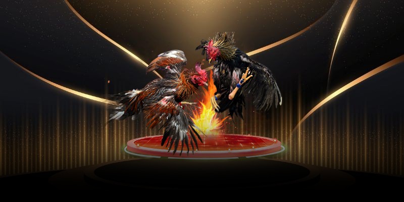 Tổng Quan Về Đá Gà Cựa Sắt 888VI